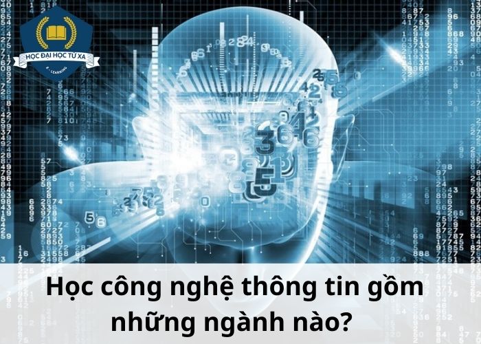 hoc-cong-nghe-thong-tin-gom-nhung-nganh-nao-Học công nghệ thông tin gồm những ngành nào